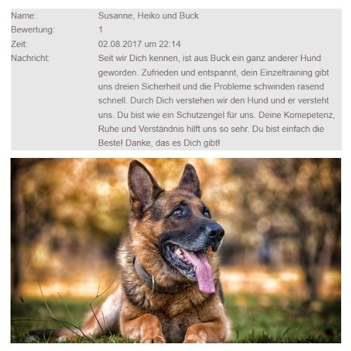 33_Doggylike_Kundenbewertung_Schaeferhund_Verhaltenstherapie
