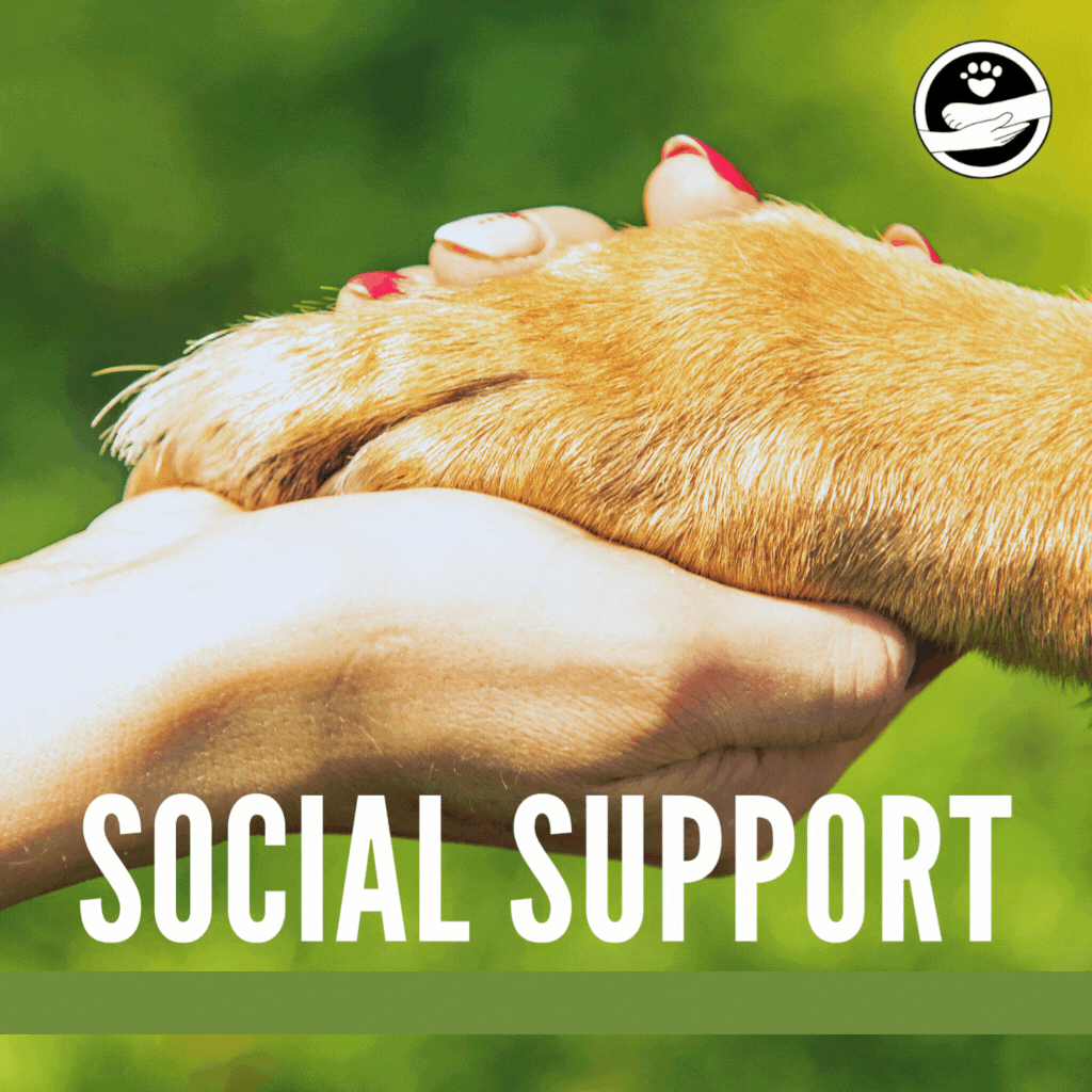Hundeschule_Doggylike_Social-Support_Hundeverhaltenstherapie
