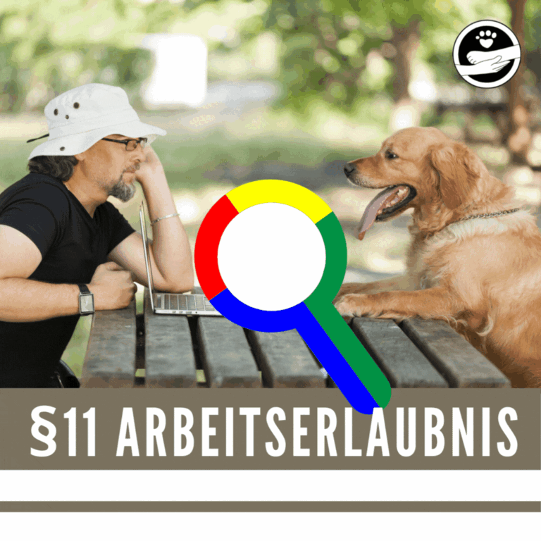 Doggylike_Hundeschule_§11_Hundetrainerzertifizierung