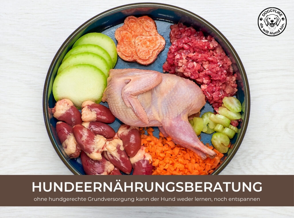 Doggylike_Hundeernaehrungsberatung