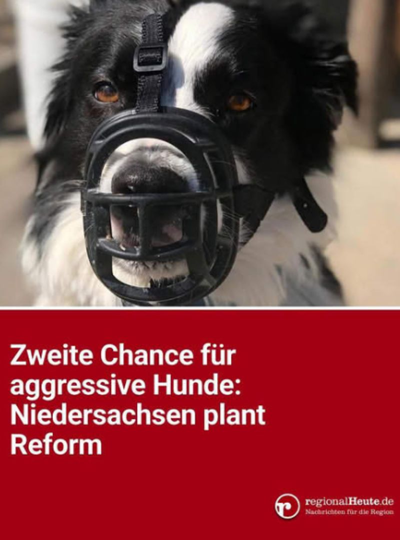 Artikel Reform Wesenstest Hund regioanlheute.de