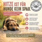 DOGGYLIKE klärt auf: Hitzegefahr für Hunde – richtig verhalten im Sommer